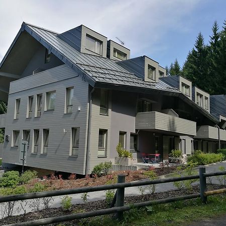 Apartment Draco Harrachov Dış mekan fotoğraf
