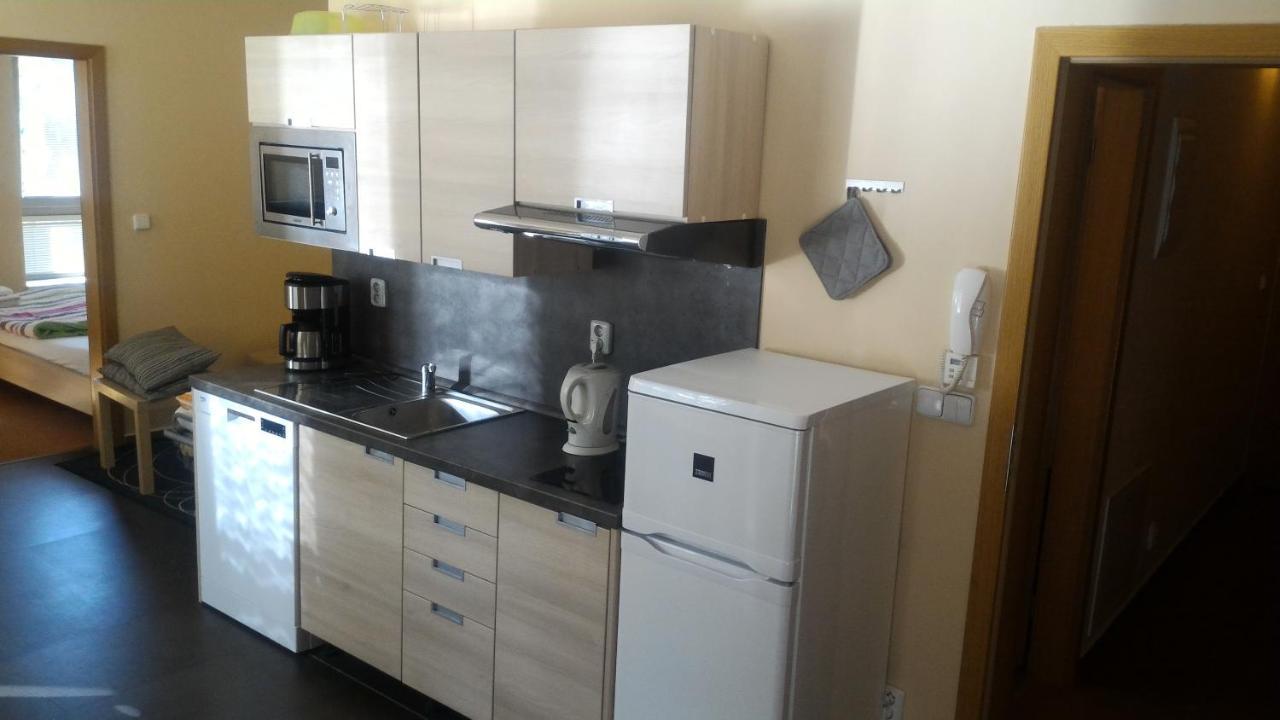 Apartment Draco Harrachov Dış mekan fotoğraf