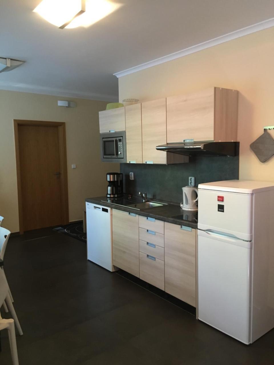 Apartment Draco Harrachov Dış mekan fotoğraf